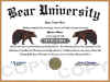 bear diploma