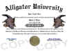 alligator diploma
