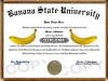 banana diploma
