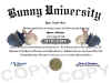 bunny diploma