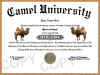 camel diploma