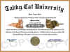 cat diploma