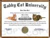 Novelty Cat Diploma