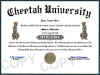 cheetah diploma