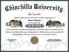 chinchilla diploma