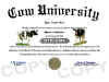 cow diploma