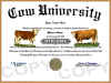 cow diploma