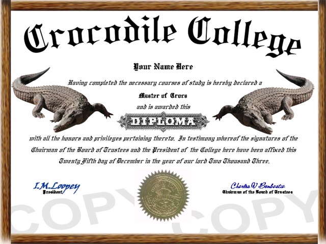 crocodile diploma