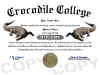 crocodile diploma