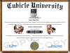 cubicle diploma 