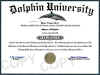 dolphin diploma