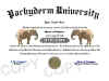 elephant diploma