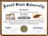 fossil diploma