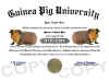 guinea pig diploma