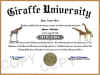 giraffe diploma