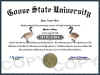 goose diploma