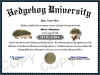 hedgehog diploma