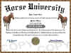 horse diploma