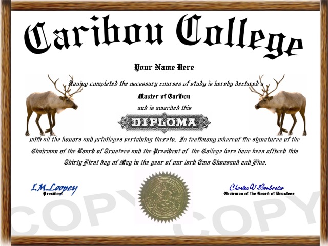 caribou diploma