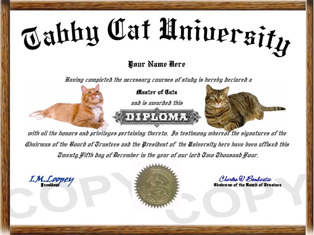 cat diploma
