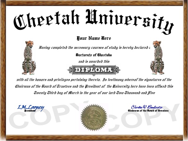 cheetah diploma