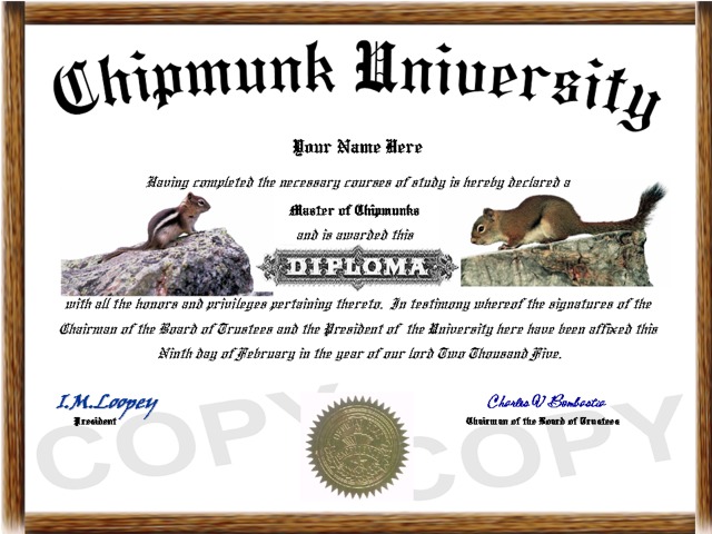 chipmunk diploma
