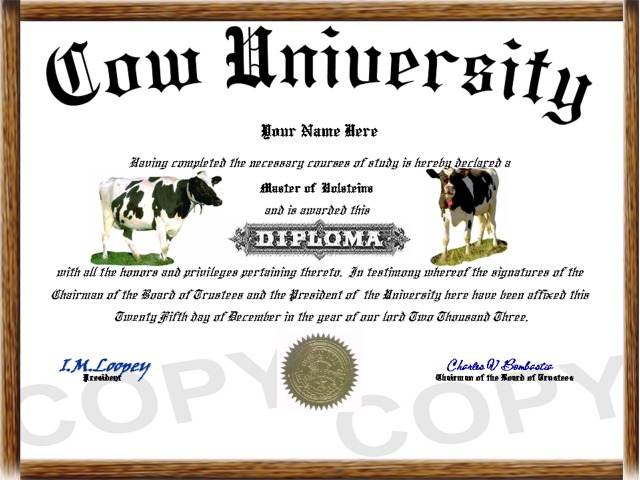 cow diploma