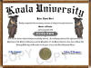 koala diploma