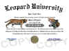 leopard diploma