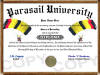 parasailing diploma