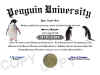 penguin diploma