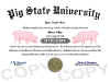 pig diploma