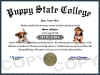 puppies diploma