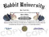 rabbit diploma