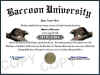 raccoon diploma