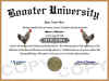 rooster diploma