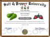 salt and pepper shaker diploma