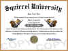 squirrel diploma