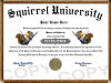 Diploma Store Squirrel