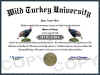 turkey diploma