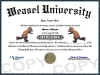 weasel diploma