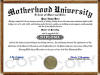 motherhood diploma