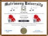 anniversary diploma