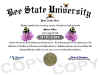 bee diploma