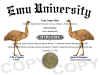 emu diploma