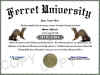 ferret diploma