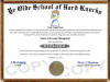 hard knocks diploma