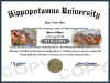 hippo diploma