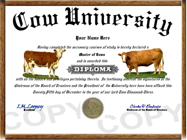 cow diploma