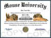 mice diploma